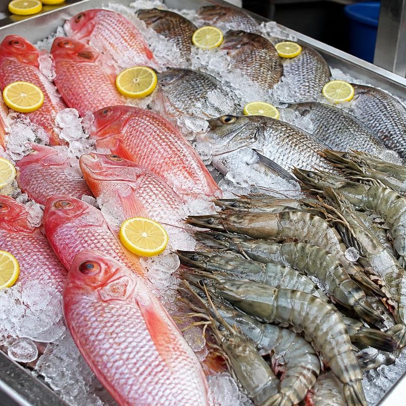 Poissons sur glace
